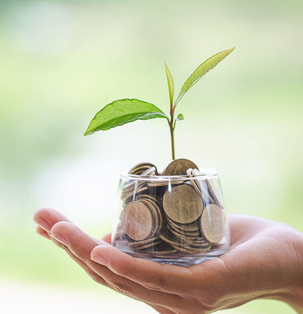 Hand hält ein Glas mit Münzen, aus dem eine wächst – Symbol für Hoffnung durch Spenden